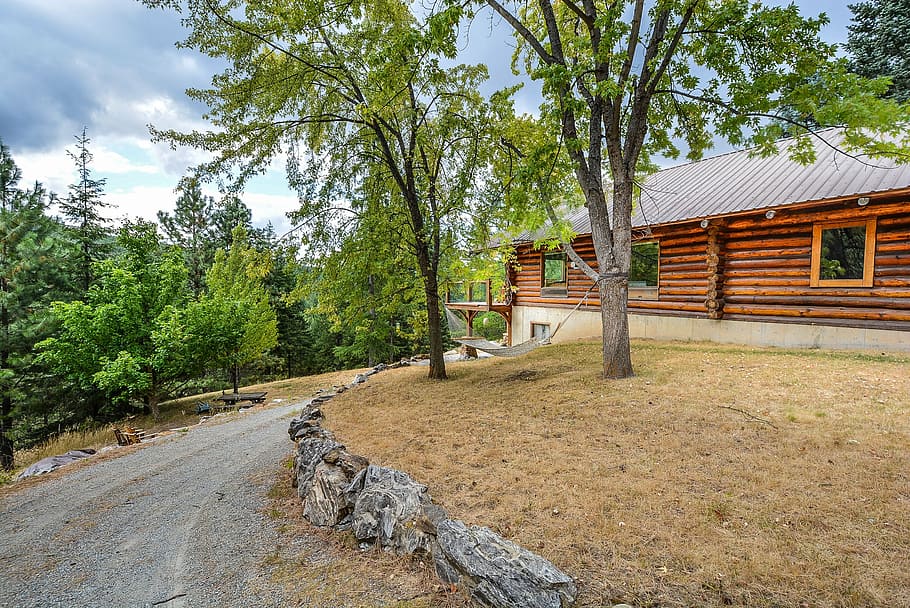 shed surrounded trees, log, home, cabin, hammock, country, rustic HD wallpaper