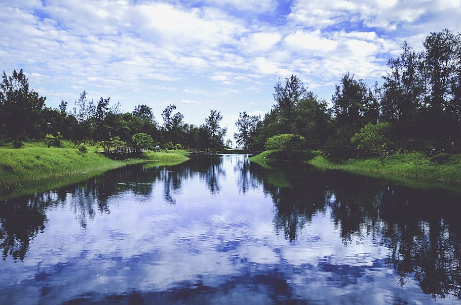 river surrounded by forest, clouds, daylight, environment, grass HD wallpaper