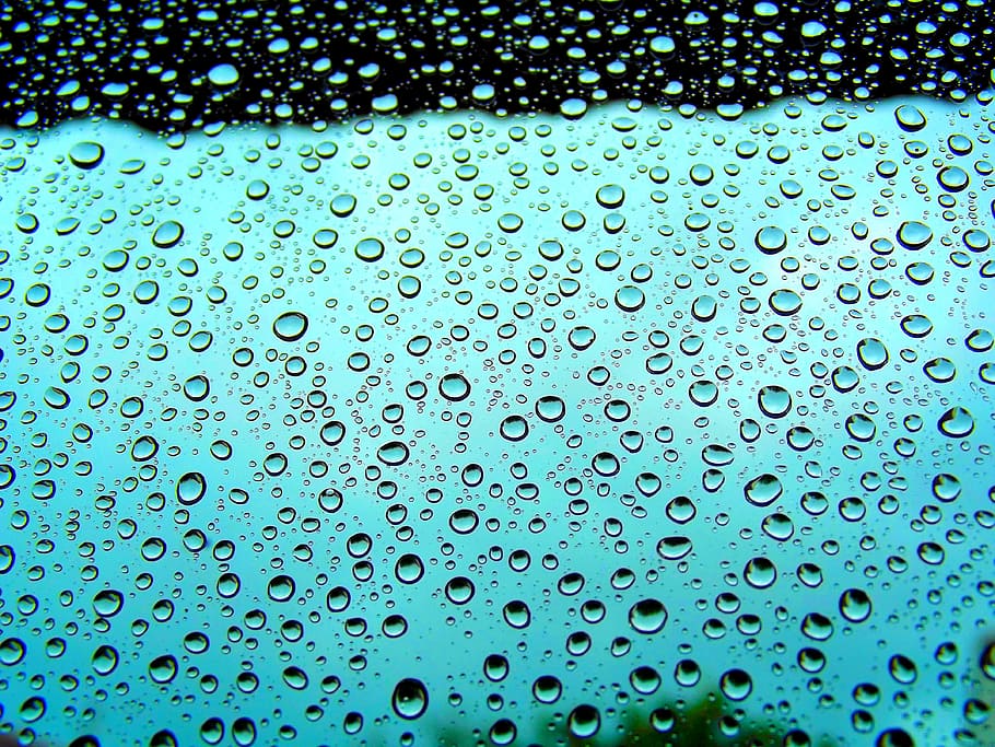 clear glass panel with rain dew drops, window, view, raindrops HD wallpaper