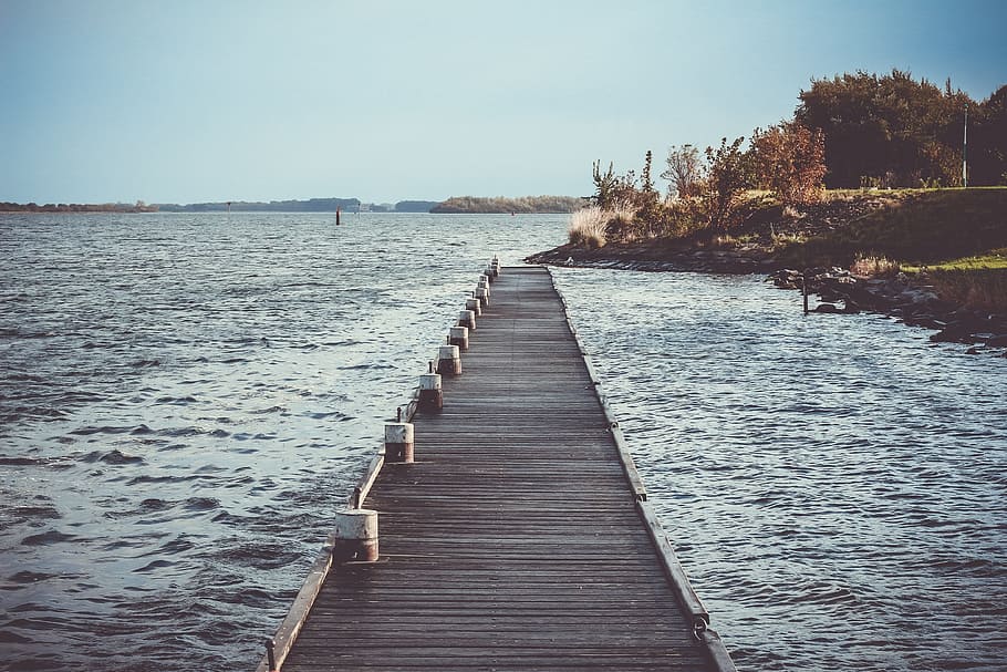 sea, ocean, water, waves, nature, bridge, pathway, coast, trees HD wallpaper