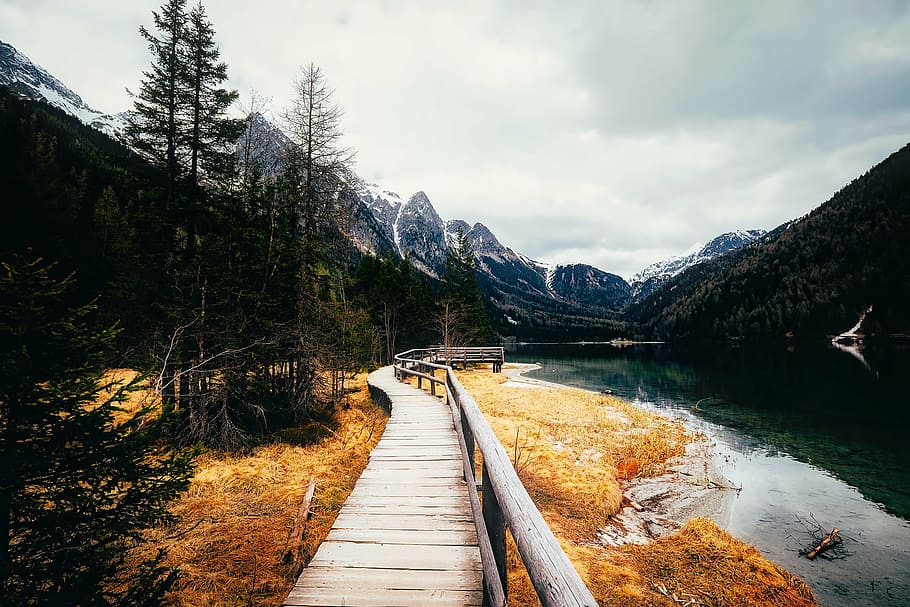 photo of dock near tree, italy, lake, water, reflections, walking trail HD wallpaper