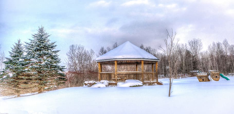 brown wooden gazebo surrounded by pine trees taken at daytime HD wallpaper