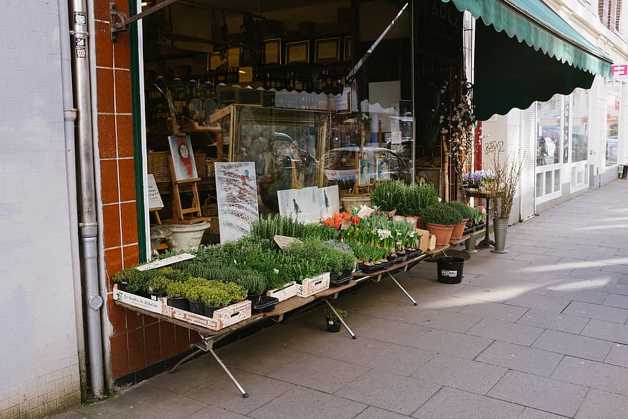 Flower shop, other, street, store, market, urban Scene, outdoors HD wallpaper