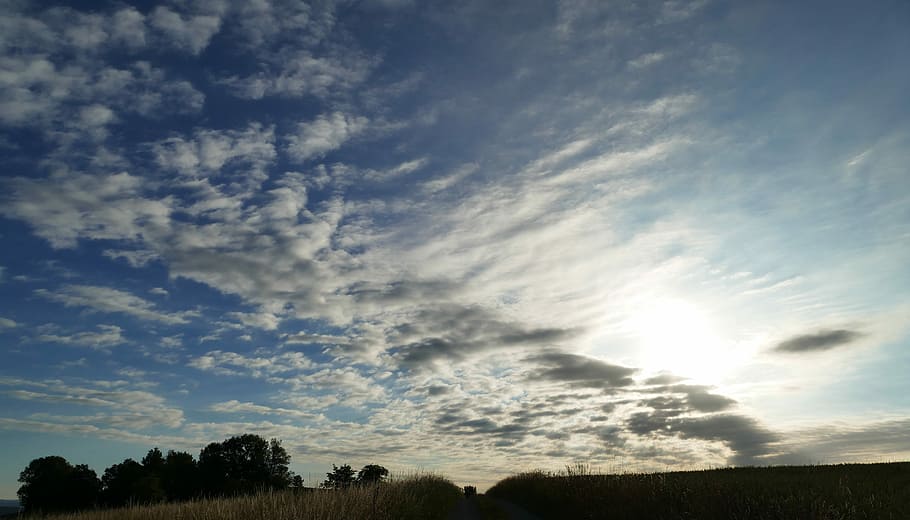 landscape, nature, clouds, trees, sun, sky, away, fields, light HD wallpaper