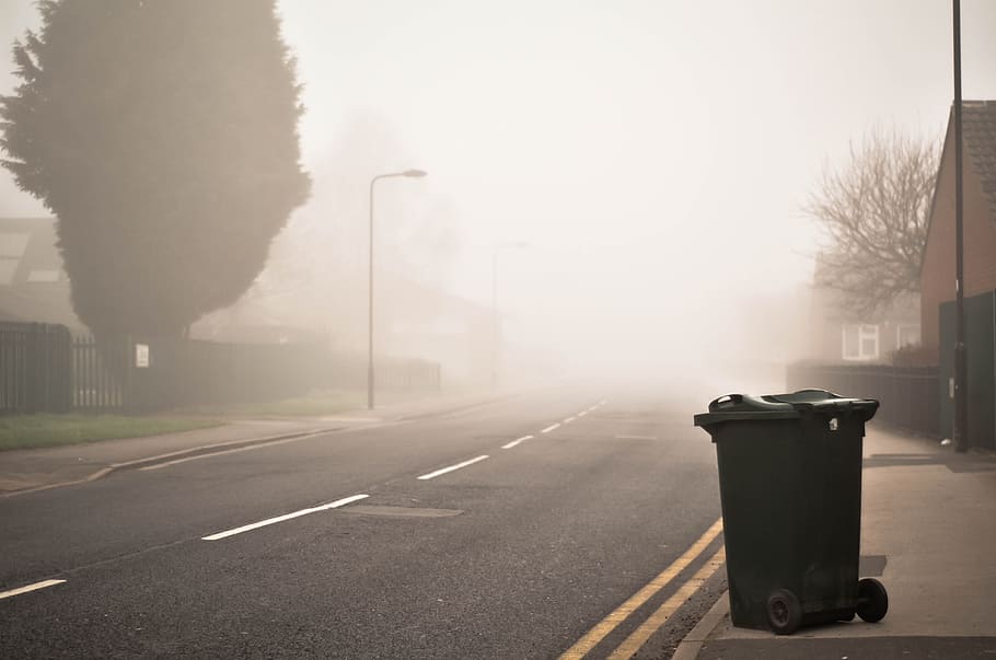 garbage bin beside road, street, plant, outdoor, foggy, trash bin, HD wallpaper