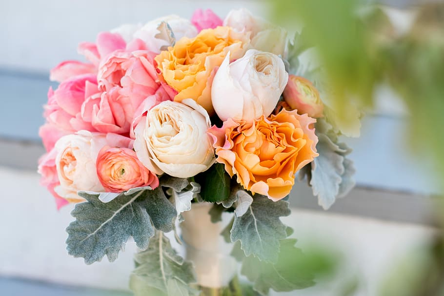 pink, white and orange rose in white ceramic vase, bouquet HD wallpaper