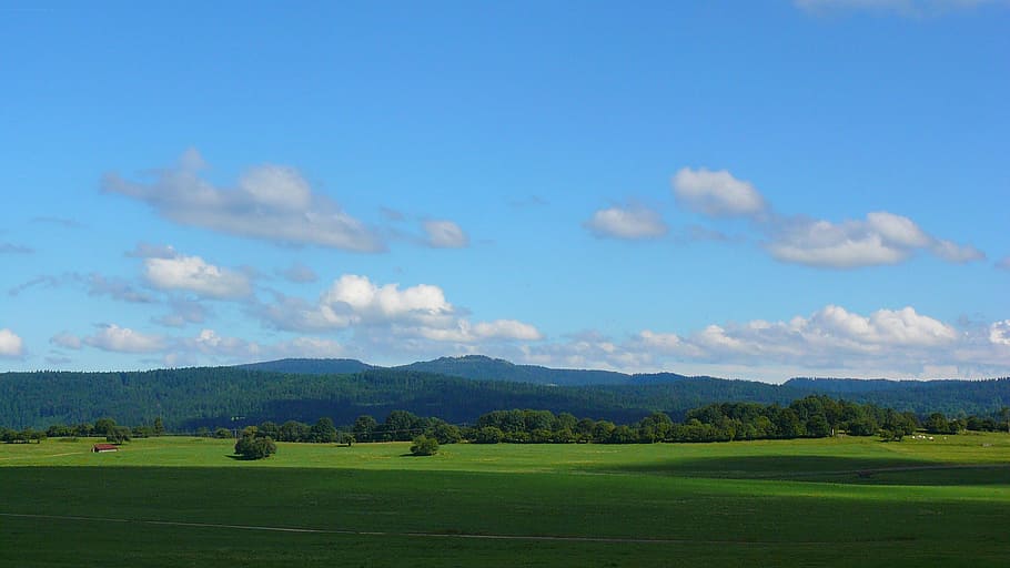 landscape, prairie, sky, clouds, green color, beauty in nature HD wallpaper