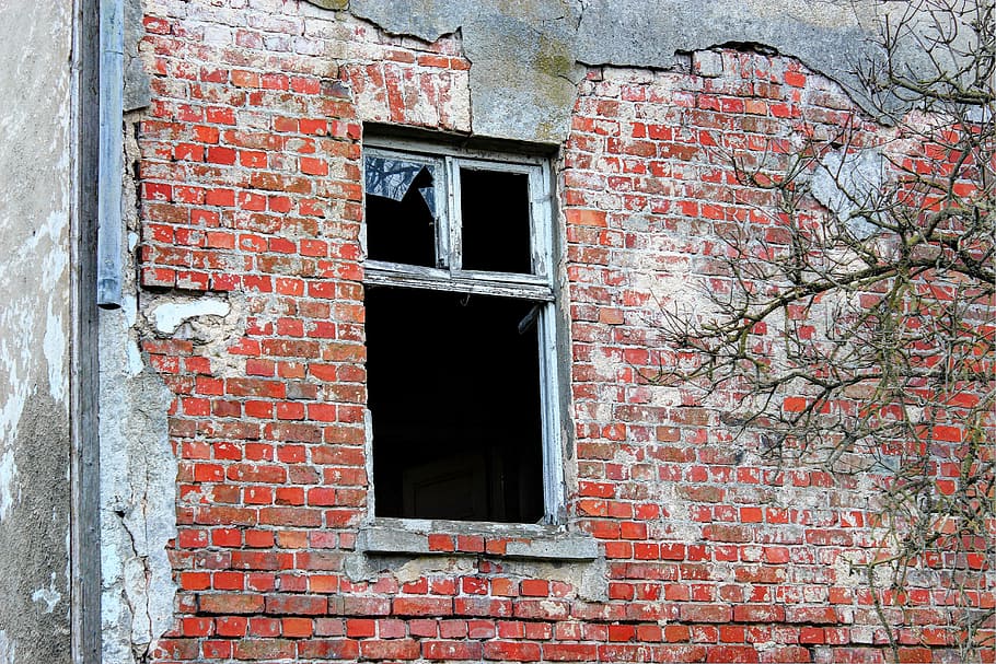 home, old, window, old house, lapsed, facade, leave, bricks HD wallpaper