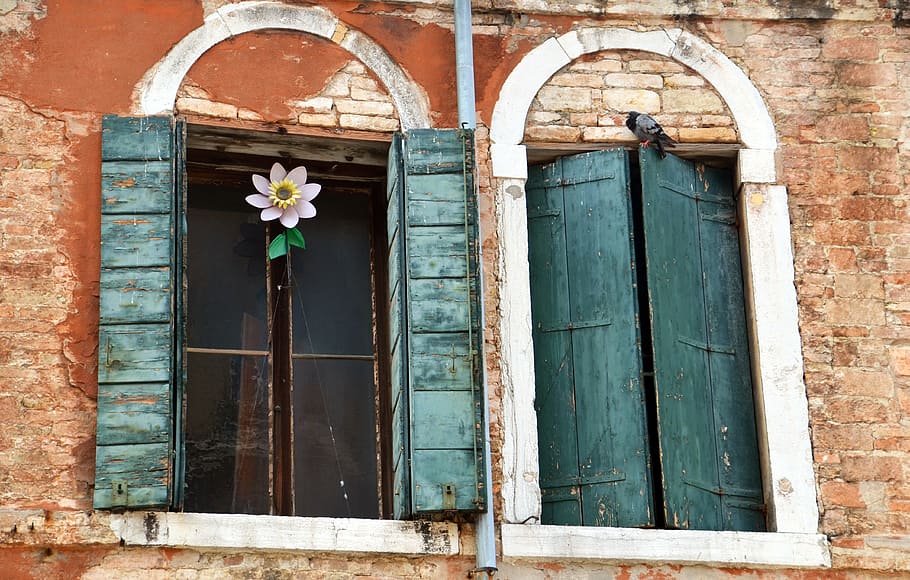 window, facade, building, shutter, old window, house facade HD wallpaper