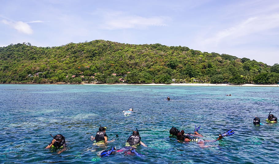 people swimming in sea, phuket, phi phi tour, thailand, beach HD wallpaper