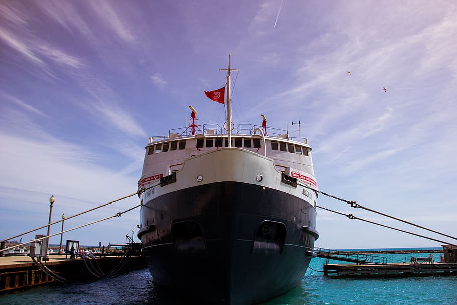 white and black ship on body of water, near, dock, daytime HD wallpaper