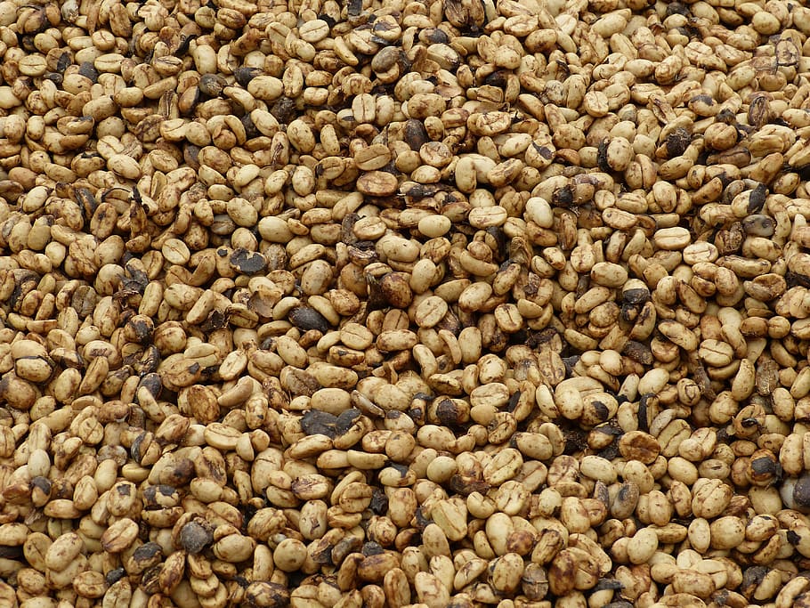 Coffee Beans, Coffee, Beans, Aroma, caffeine, harvest, dry HD wallpaper