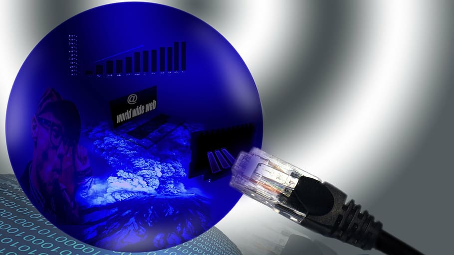 ethernet cable near round blue appliance, internet, networking HD wallpaper