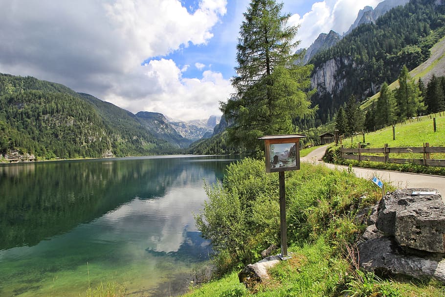 austria, nature, lake, water, plant, mountain, beauty in nature HD wallpaper