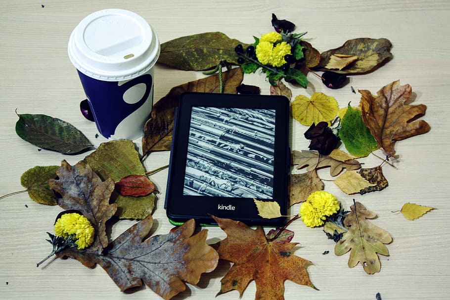 Kindle, Pepper, White, Reading, Coffee, pepper white, technology HD wallpaper