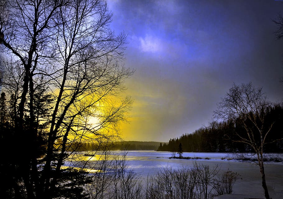 silhouette photo of trees near body of water, winter landscape HD wallpaper