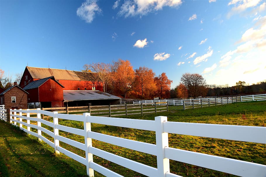 barn along white fence, rural, farm, agriculture, wood, red, country