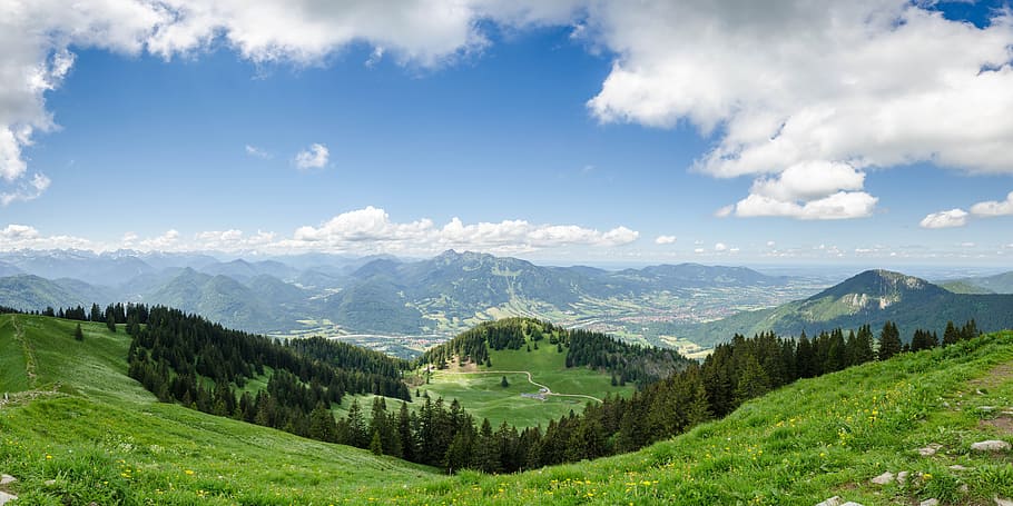 Grass and Pine Tree Coated Hill during Cloudy Daytime, blue, clouds HD wallpaper