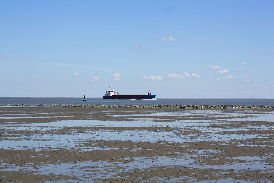 ship, freighter, beach, ebb, watts, container ship, frachtschiff HD wallpaper