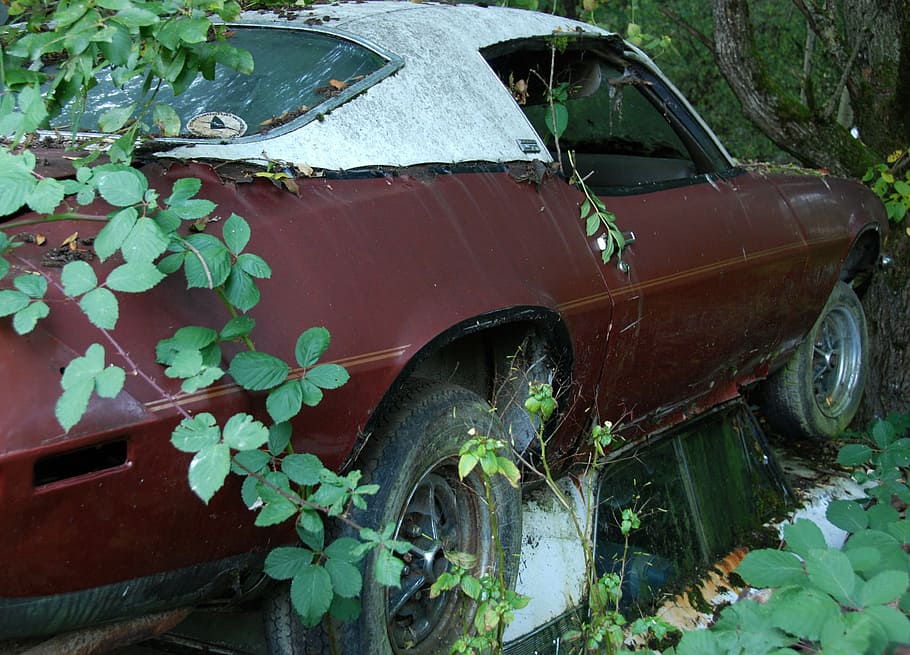 car cemetery, old, weathered, discarded, useless, over, history HD wallpaper