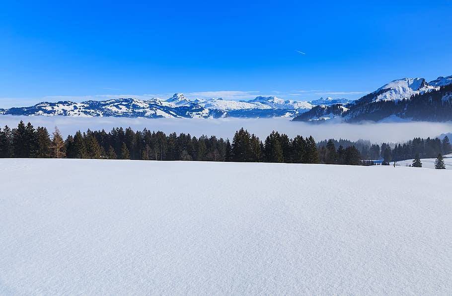 Snowy Mountain Under Blue Sky, alps, cold, daylight, europe, fog