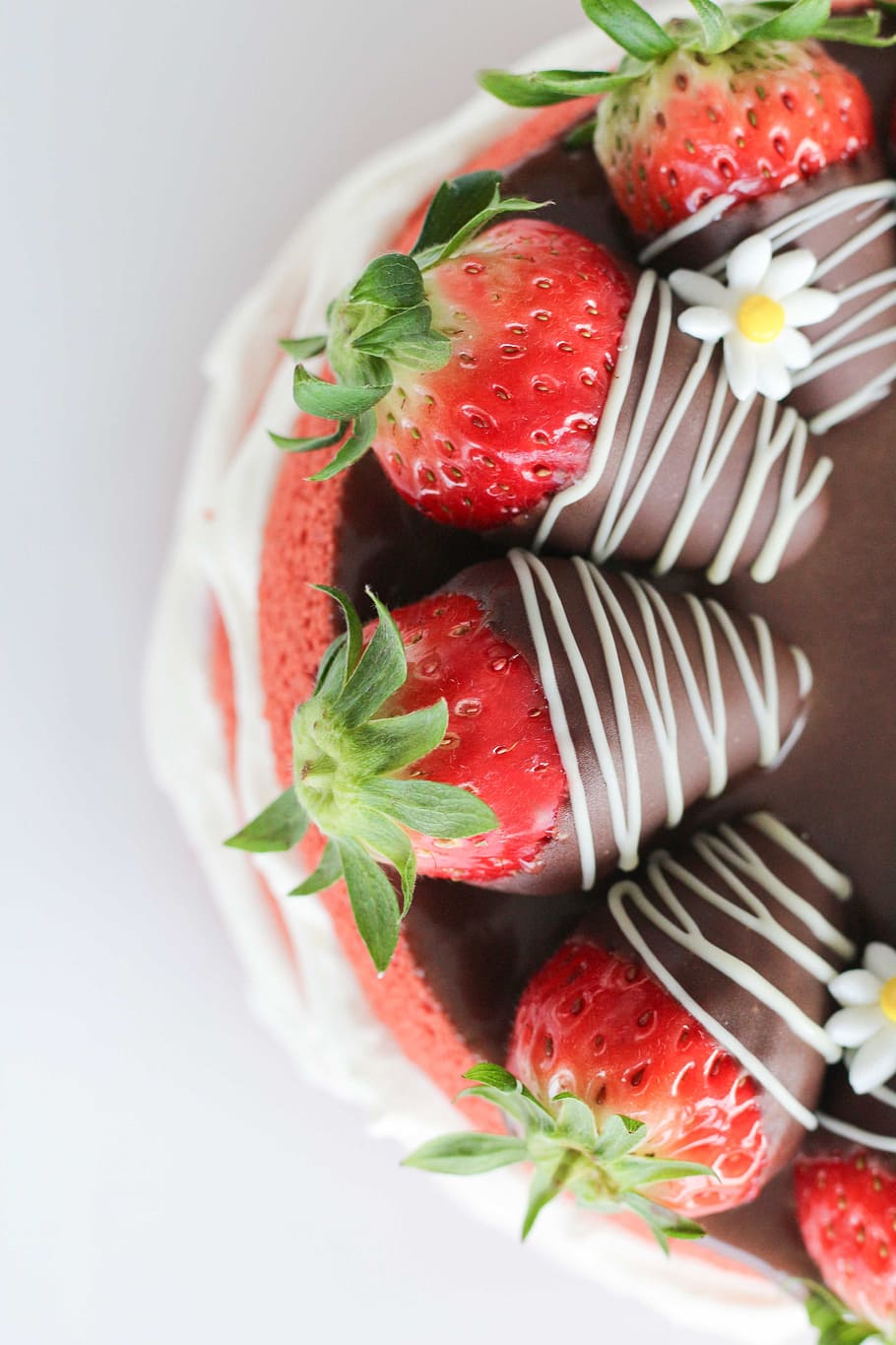 chocolate strawberries, cake, strawberry, dessert, food, food and drink HD wallpaper