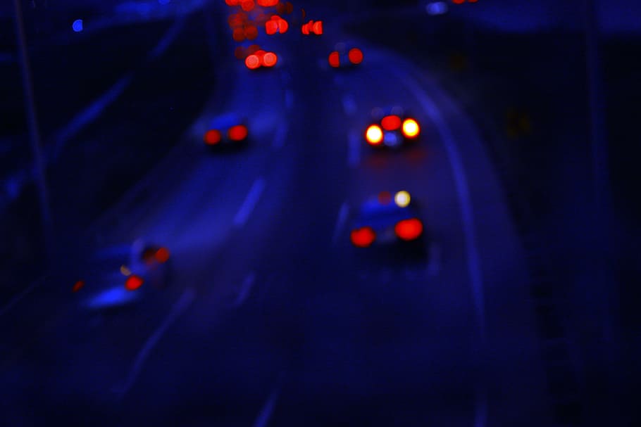 Lights, Road, Red, Blue, Blurred, the leaves, in the evening HD wallpaper