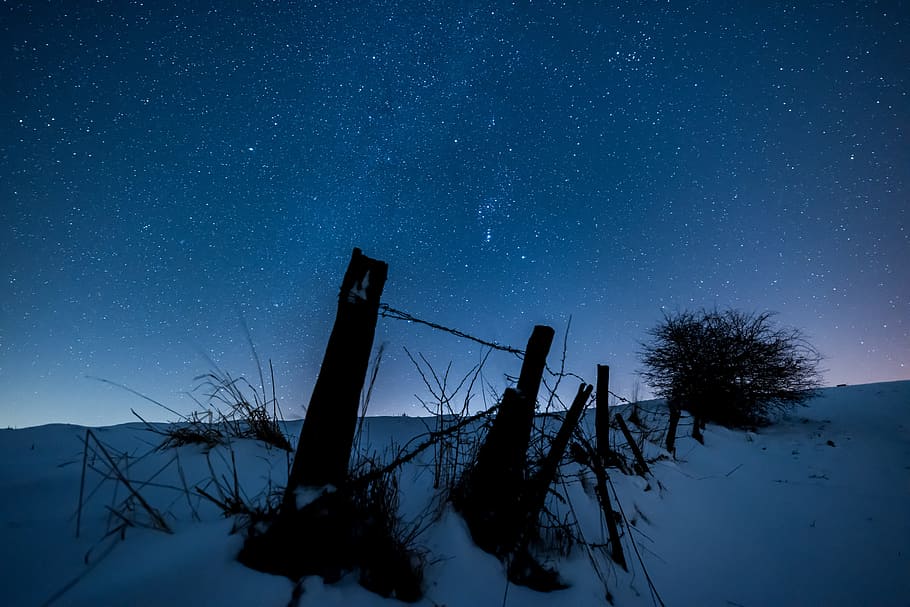 sky, silhouette, winter, tree, star, wintry, snow, snow landscape HD wallpaper