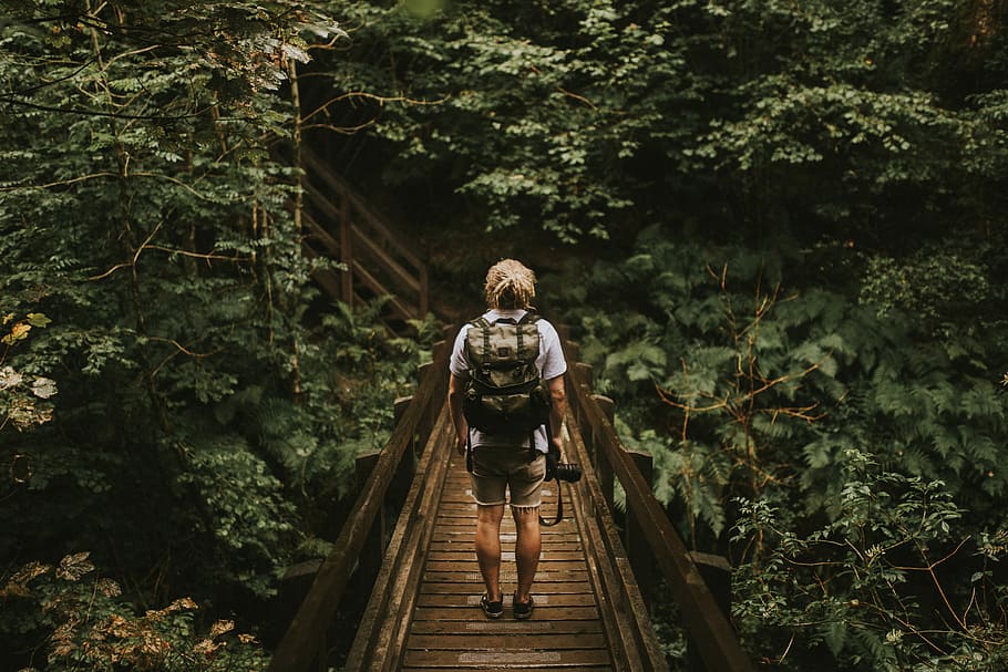 Photographer on a boardwalk, man standing on wooden bridge in front of green leaf plants HD wallpaper