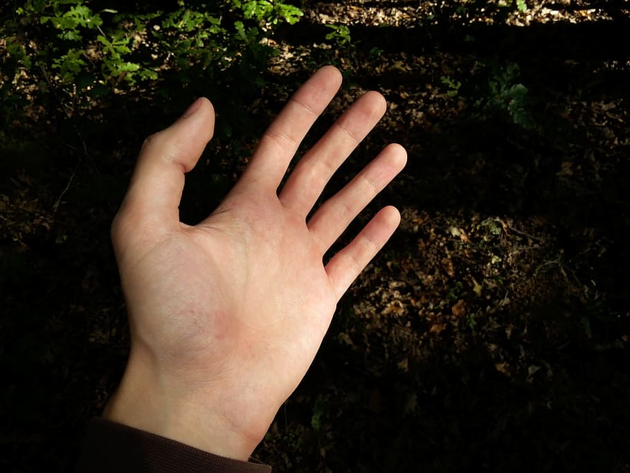 Hand, Arm, Limb, human hand, human body part, one person, day HD wallpaper
