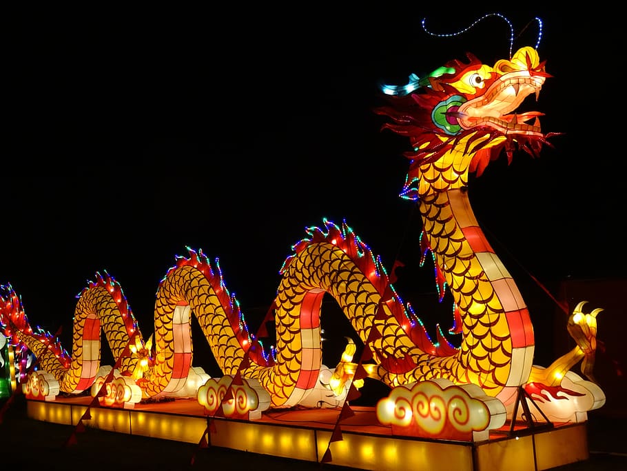 chinese festival of lights, dandenong, victoria, dragon, lanterns, HD wallpaper