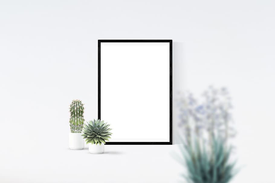 two green leafed plant with white pots, poster, mockup, decor HD wallpaper