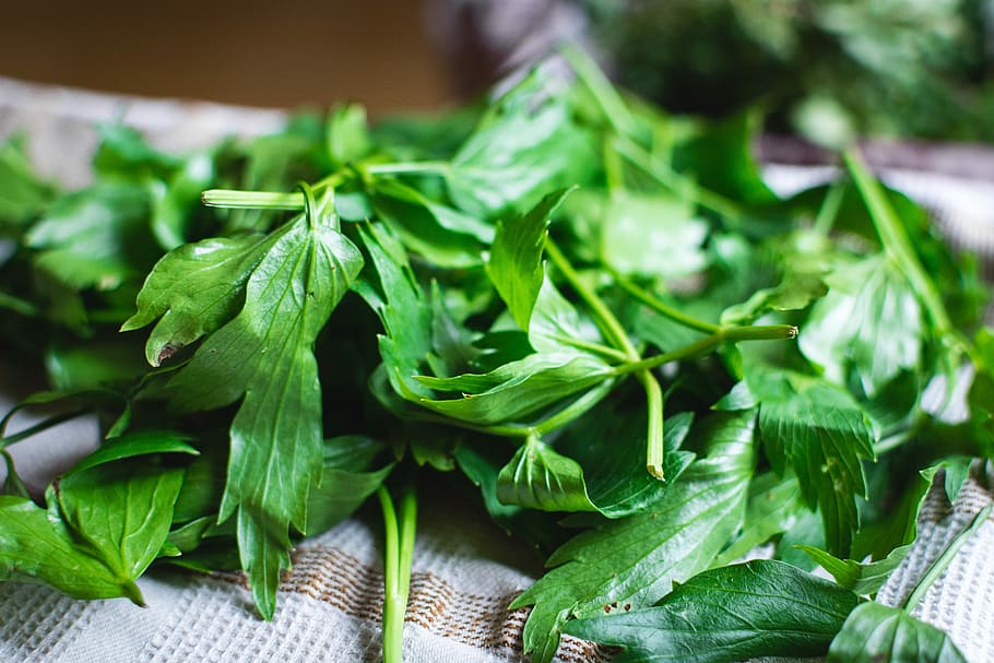 Different kinds of fresh herbs, healthy, food, leaf, freshness HD wallpaper