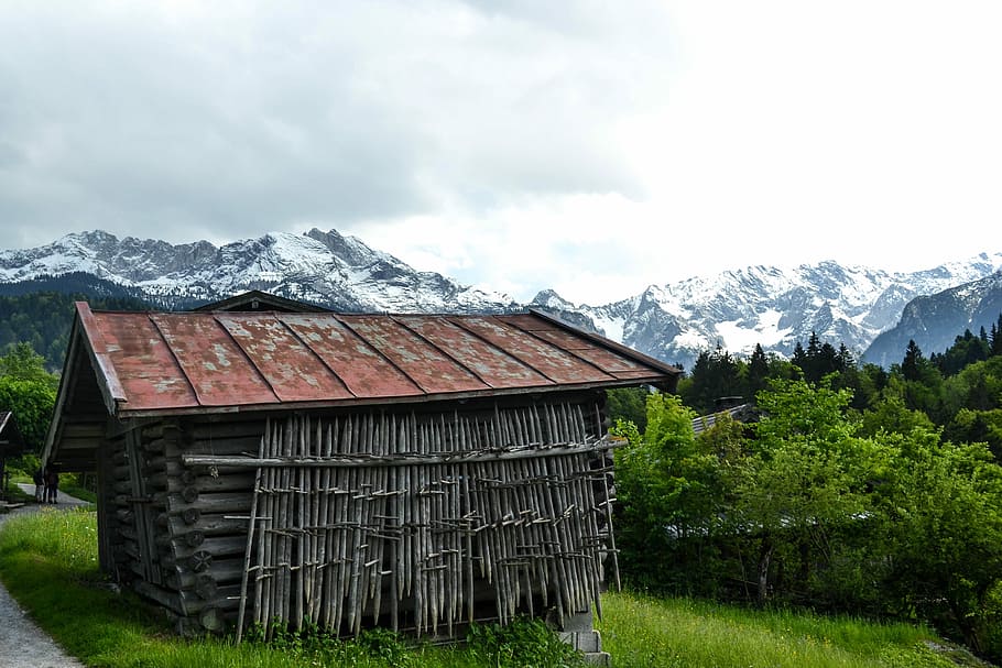 brown bamboo house, wooden house surrounded with trees, mountain HD wallpaper