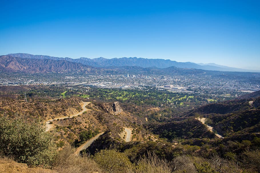 Griffith Park, Mountain, Holly, hollywood, scenics, nature