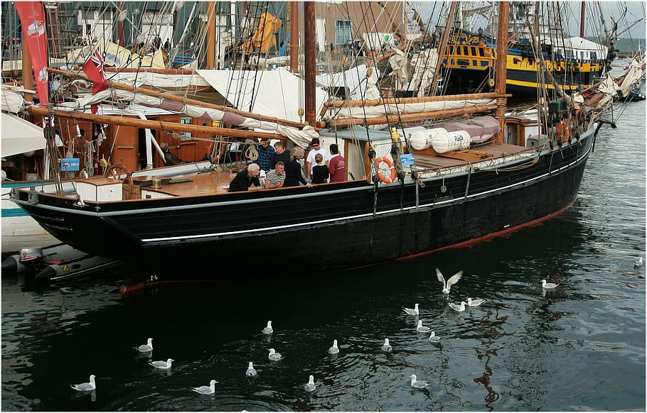 boat, brest 2012, port, marine, nautical Vessel, sea, harbor HD wallpaper