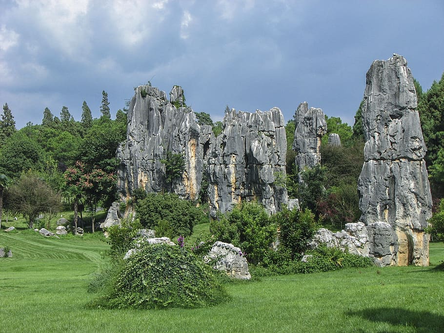 china, yunnan, scenery, the stone forest, plant, tree, nature, HD wallpaper