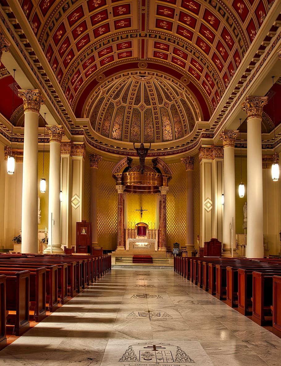 interior view of church with lights turned on, cathedral, the immaculate conception HD wallpaper
