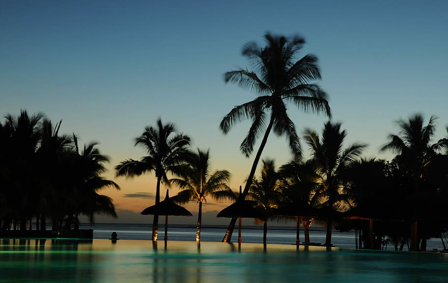body of water near palm trees, Holidays, Paradise, Maldives, mauritius, HD wallpaper