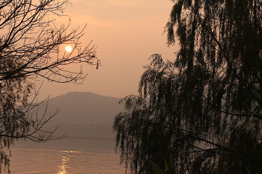 light, sea, dawn, landscape, beautiful, branches, dusk, fog, lake HD wallpaper