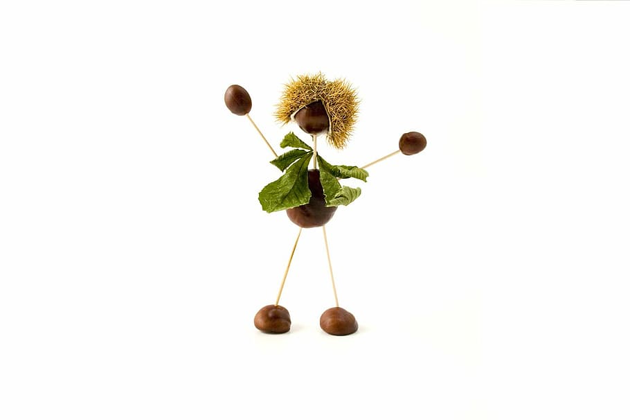 brown nut stick man, conker, figure, boy, autumn, fall, leaf HD wallpaper