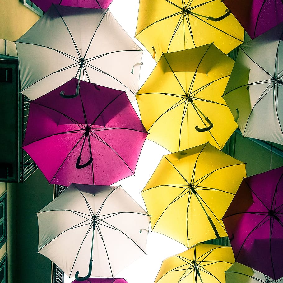 HD wallpaper: Umbrella, Umbrellas, Arona, Colors, rain, yellow, fuchsia ...