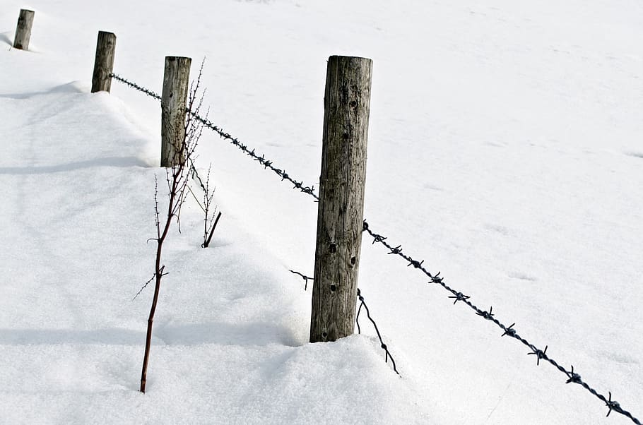 snow, snowfall, white, cold, seasons, background, december HD wallpaper