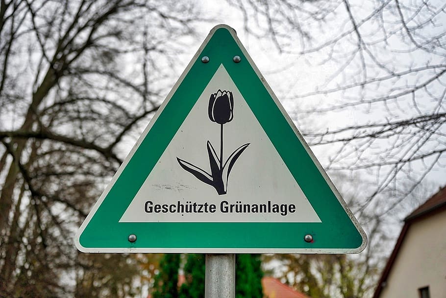 road, tree, traffic, triangle, shield, guns, green area, sign HD wallpaper