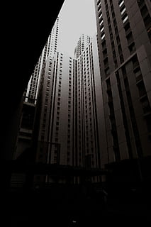 low angle photography of buildings, white skyscrapper, urban HD wallpaper