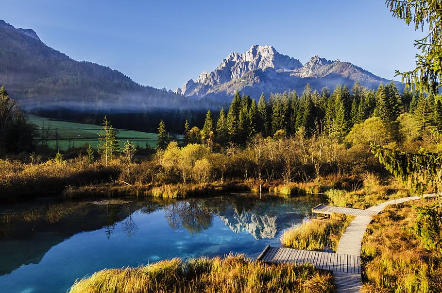 body of water surrounded by trees near mountain, landscape HD wallpaper
