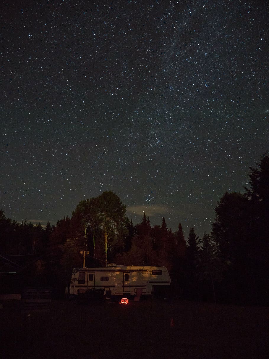 RV trailer under starry sky, night, stars, trees, plants, landscape HD wallpaper