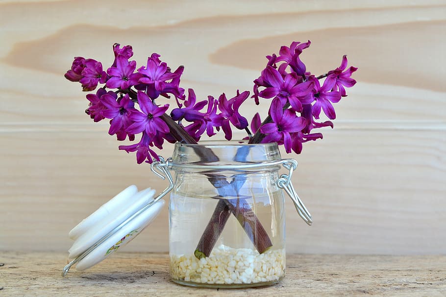 purple flowers in vase, hyacinth, jar, decorative glass, wood
