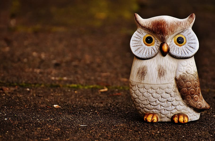 owl, bird, funny, ceramic, animal, cute, deco, figure, decoration HD wallpaper