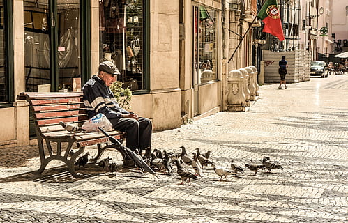 man sitting at bench surrounded by pigeons, old, elderly, senior HD wallpaper